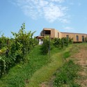 En Construccion: Ampliación Bodega de Txakoli / TOKI arkitekturak - Image 13 of 4