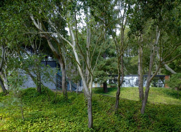 Casa Cien Pies / Ogrydziak Prillinger Architects - Más Imágenes