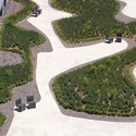 Jardín O'Donnell / Paula Caballero y Diego Colón de Carbajal - Paisaje Y Arquitectura