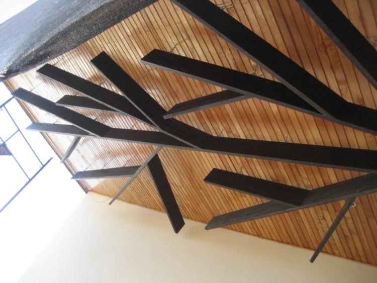 Vibración Parronal / gt2p - Más Imágenes