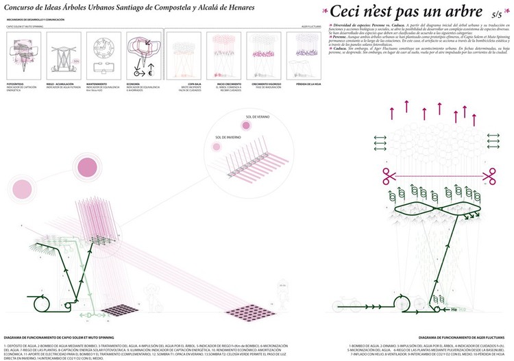 Concurso - Arboles Urbanos para Santiago de Compostela y Alcalá de Henares - Más Imágenes