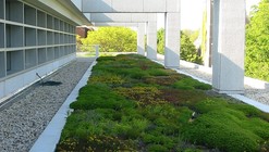 New York City's Green Infrastructure Plan