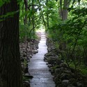Stone River / Jon Piasecki - Image 13 of 4