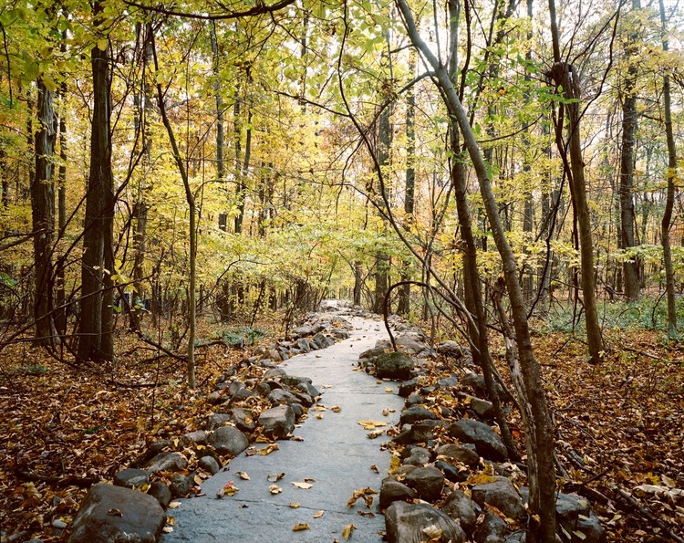 Stone River / Jon Piasecki - More Images