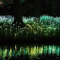 Bruce Munro’s stunning LED Installations light up Longwood Gardens - Image 3 of 4