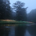 Bruce Munro’s stunning LED Installations light up Longwood Gardens - Image 4 of 4
