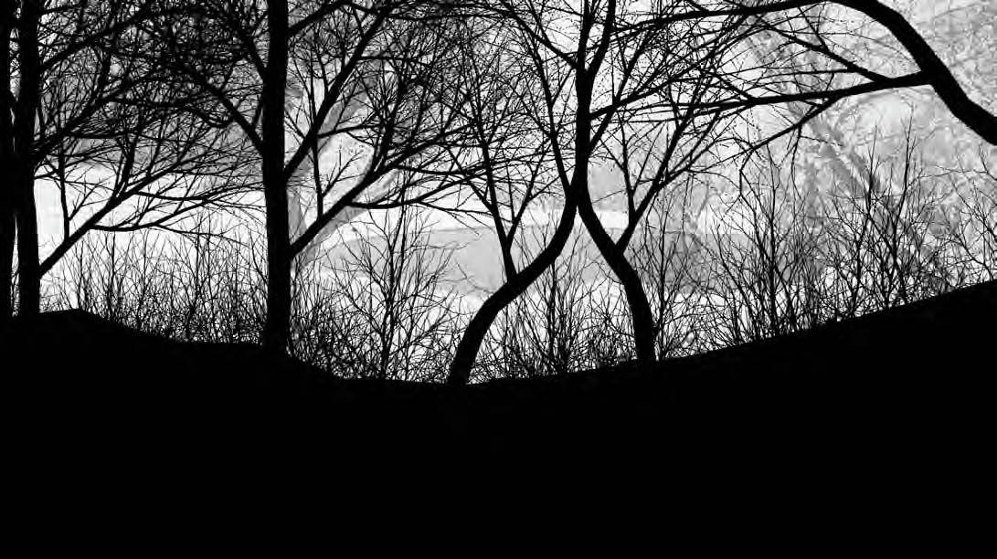 Gallery of In Progress Butterfly House / davidclovers 16