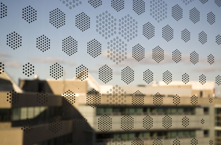 Universidad de Brock  / Payette - ArchitectsAlliance - Más Imágenes