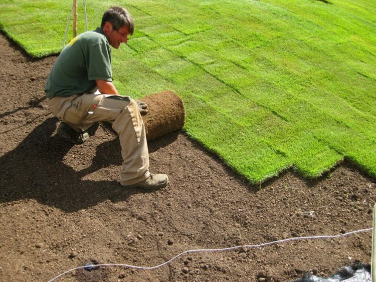 In Progress:  sTARTT WHATAMI at the MAXXI - More Images
