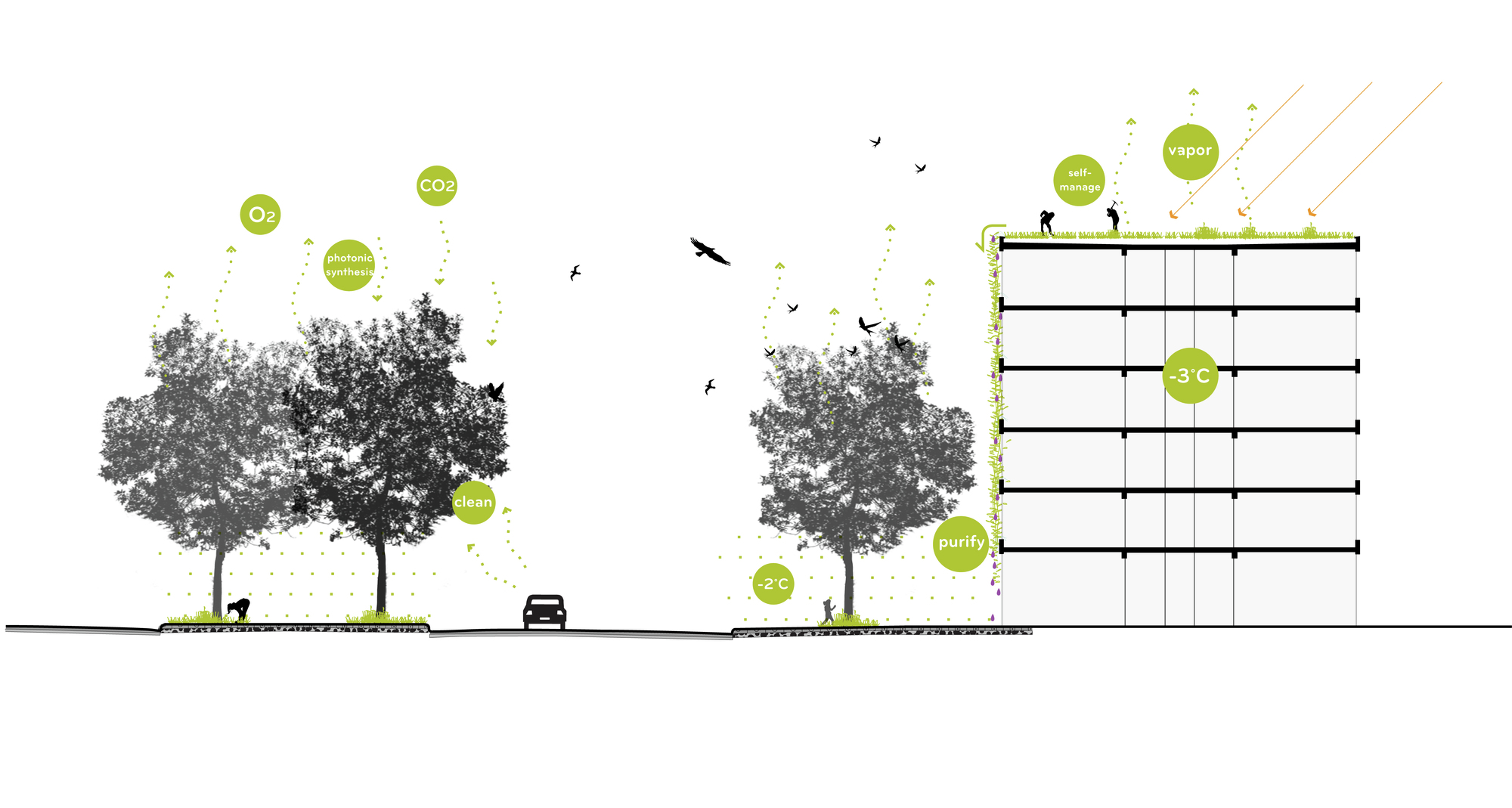 Gallery of Green River Brateevo / OKRA Landscape Architects 3