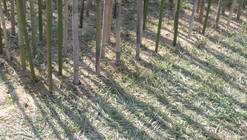 "Thicket" - Installation / Sanders Pace Architecture