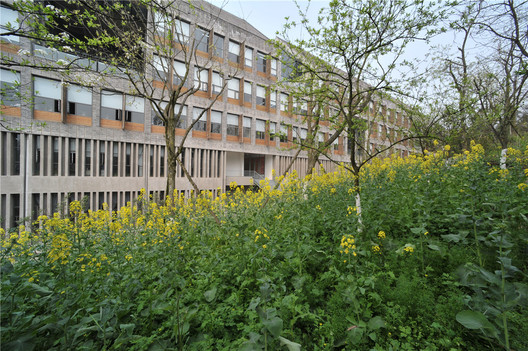 Sichuan Fine Arts Institute Library of Huxi / Tanghua Architects & Associates Sichuan Fine Arts Institute Library of Huxi / Tanghua Architects & Associates - Image 6 of 39