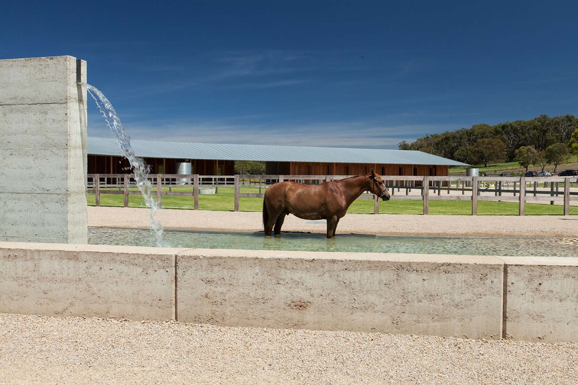 Vector Set Of Horse Riding Interior Posters, Banners. Equestrian Field With  Show Jumper Horses, Stable, Free Horses, Countryside Landscape Design  Elements In Flat Style. Royalty Free SVG, Cliparts, Vectors, and Stock  Illustration., image size:2000x1333