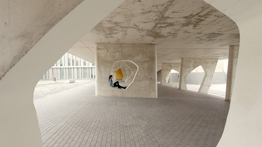 Vídeo: Walking with CVDB