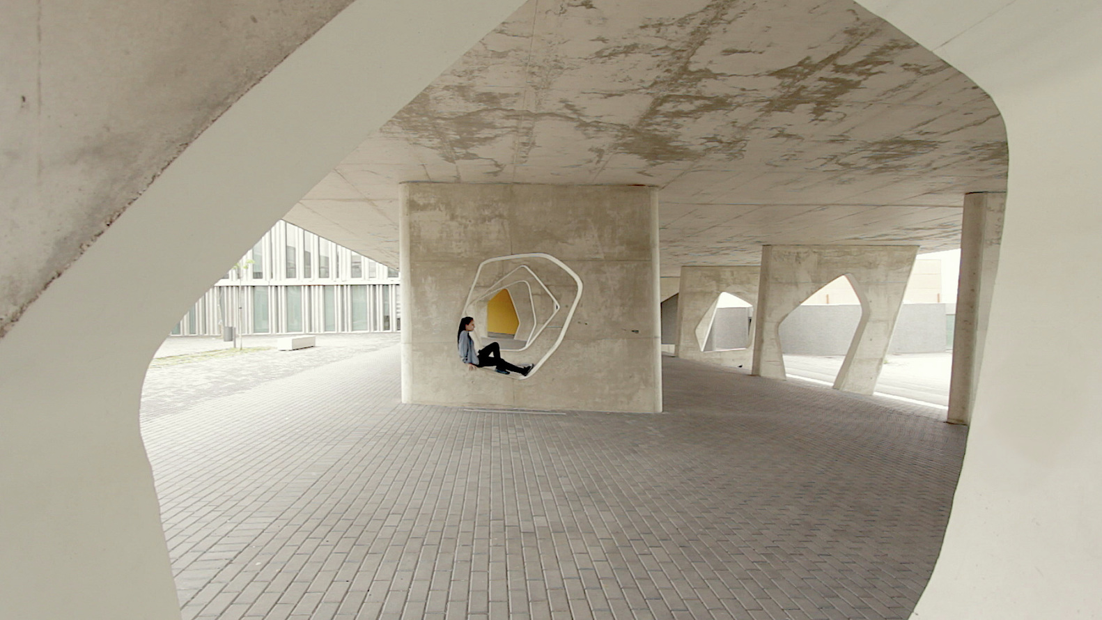 Vídeo: Walking with CVDB - Imagem 1 de 3