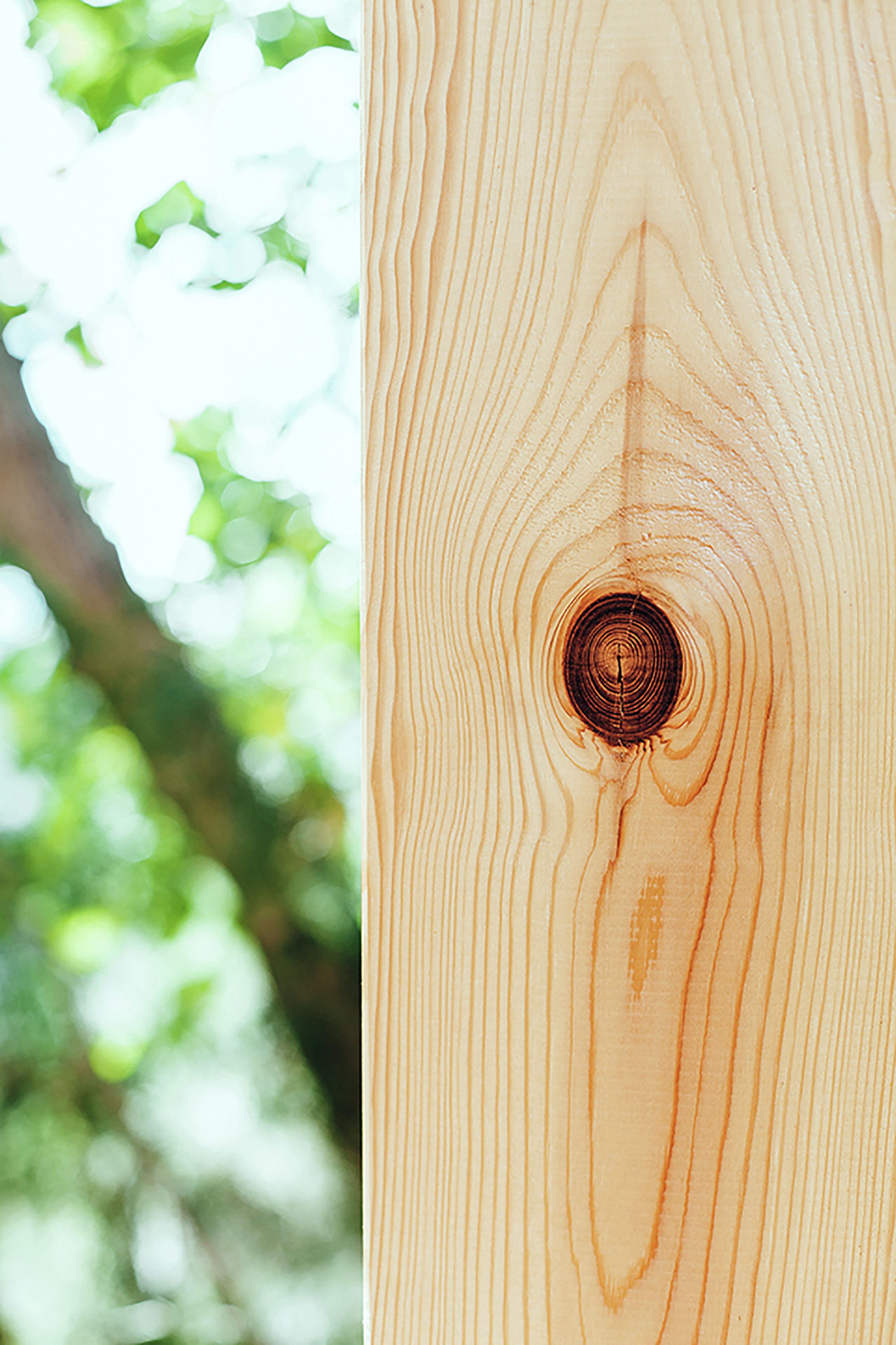 Gallery of Wood Studio House / Dom Arquitectura 11