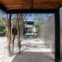 T House / Studio Arquitectos - Houses