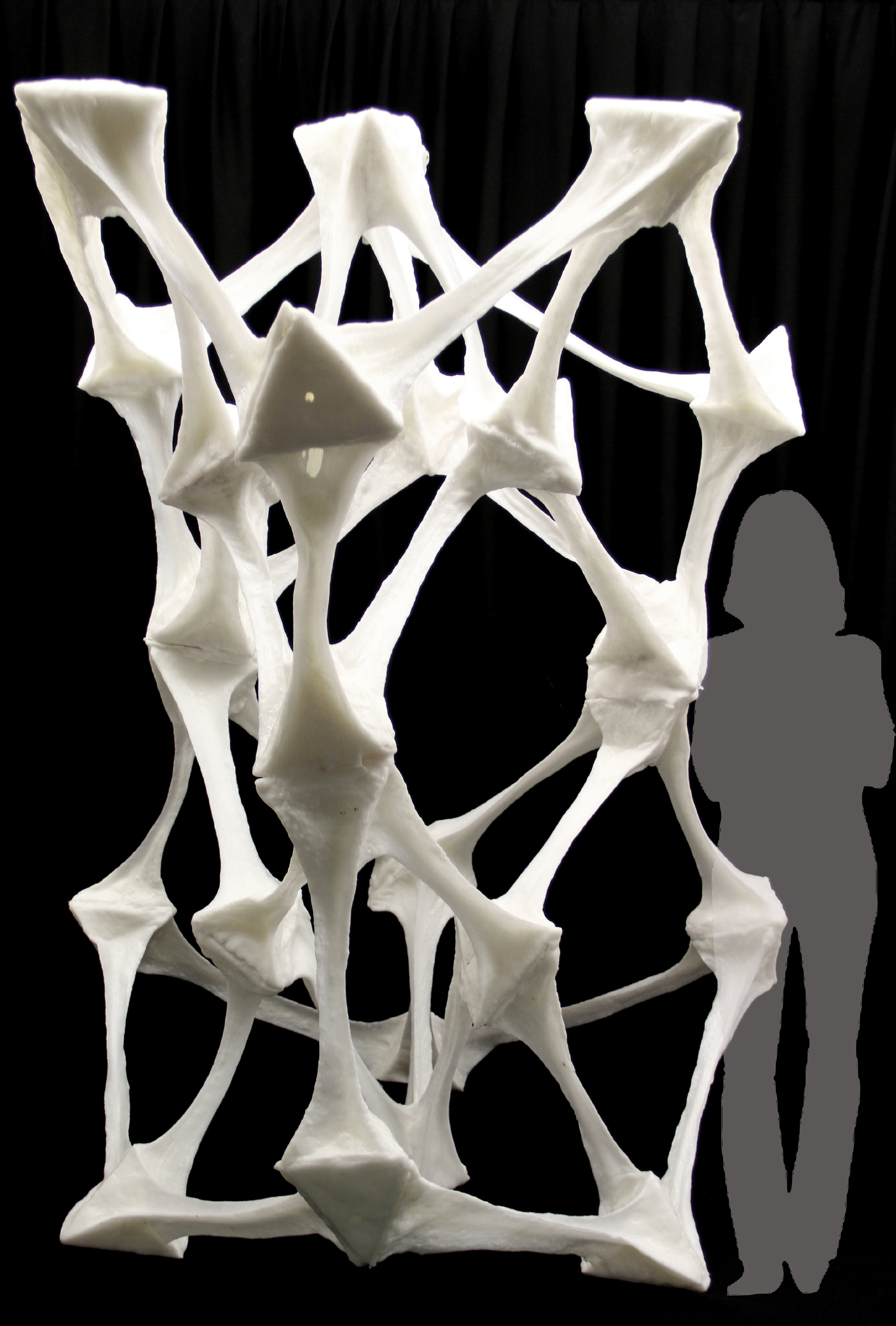 Gallery of BoneLike Plastic Structures Form Biodegradeable Temporary