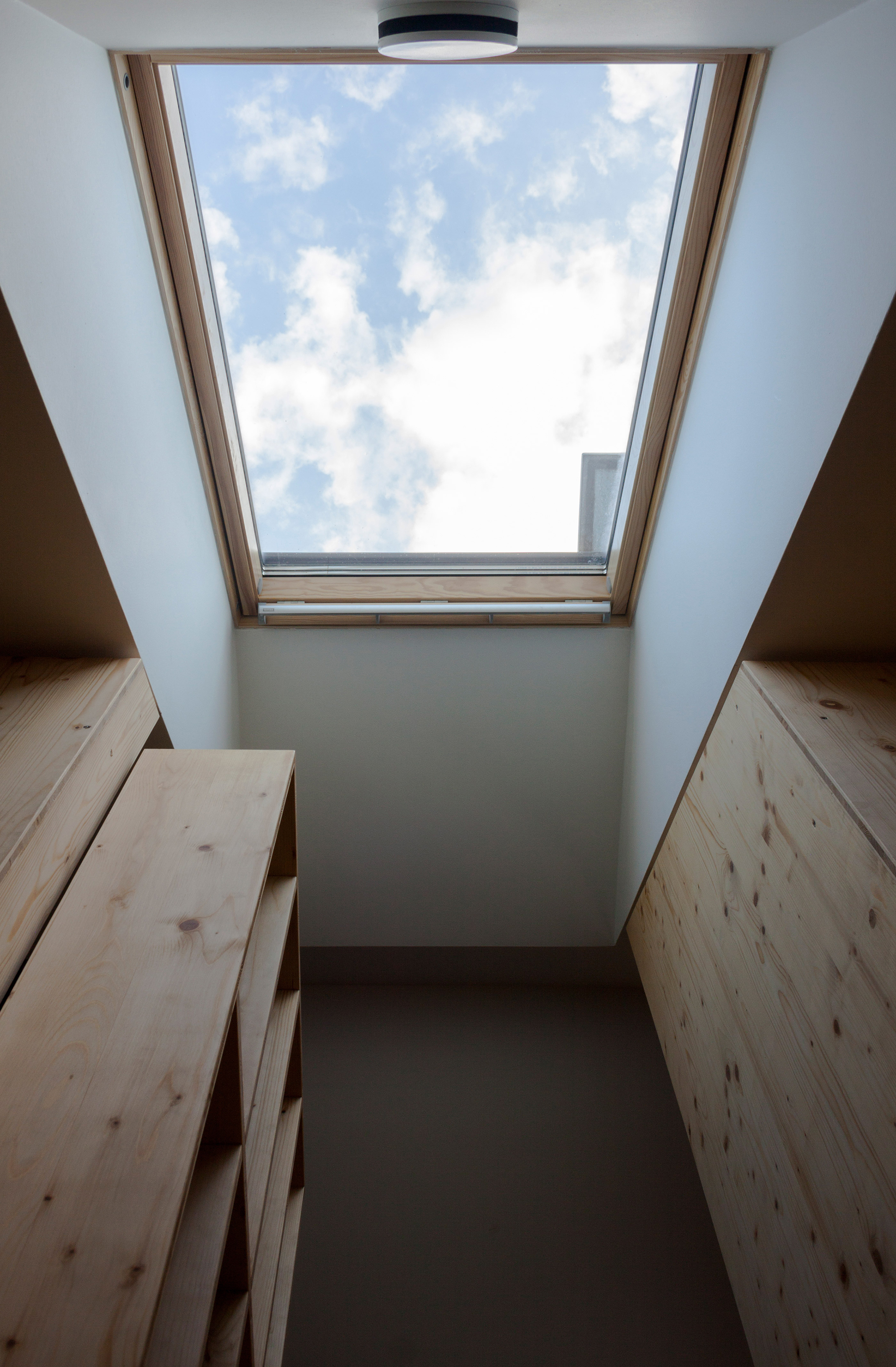 Gallery of DomT House / Martin Boles Architect - 12
