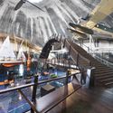 Seaplane Harbour / KOKO architects - Adaptive Reuse