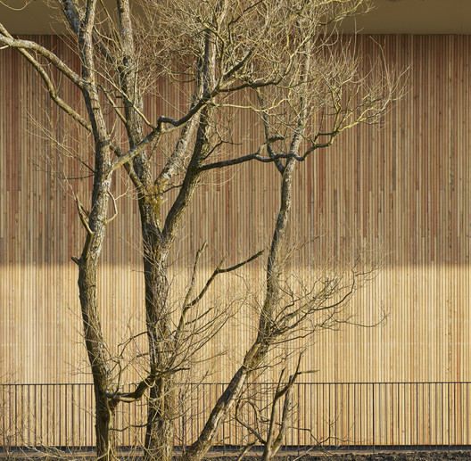 Escuela Primaria Lairdsland / Walters & Cohen Architects - Imagen 11 de 30