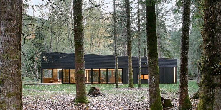 Courtyard House on a River / Robert Hutchison Architecture - Forest