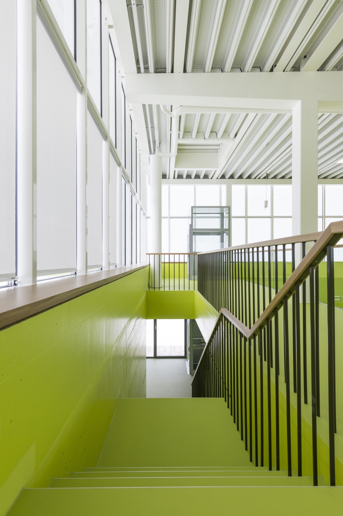 Gallery of Neumatt Sports Center / Evolution Design - 10