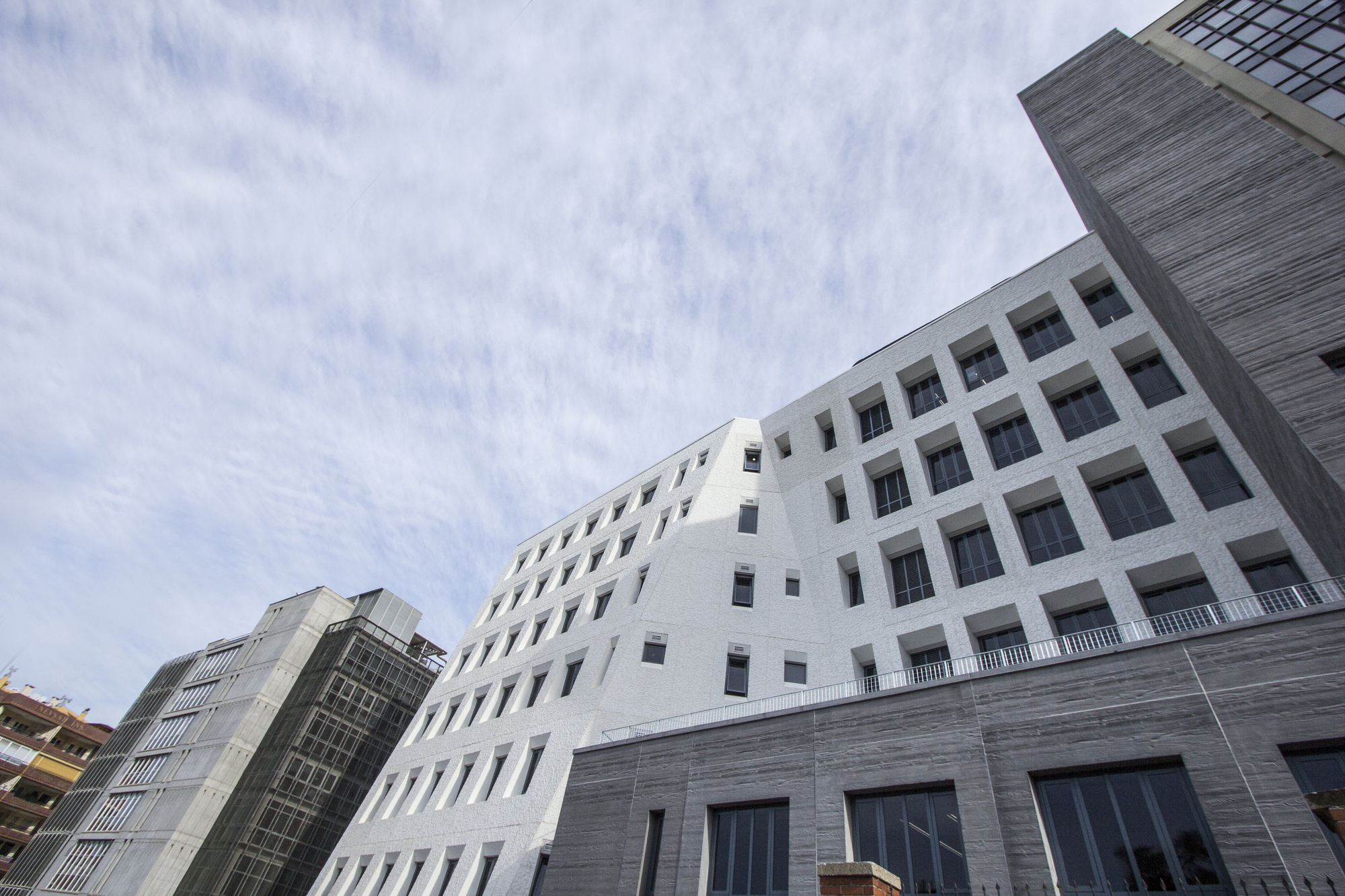 SCHOOL OF FOREIGN LANGUAGES visual data 8