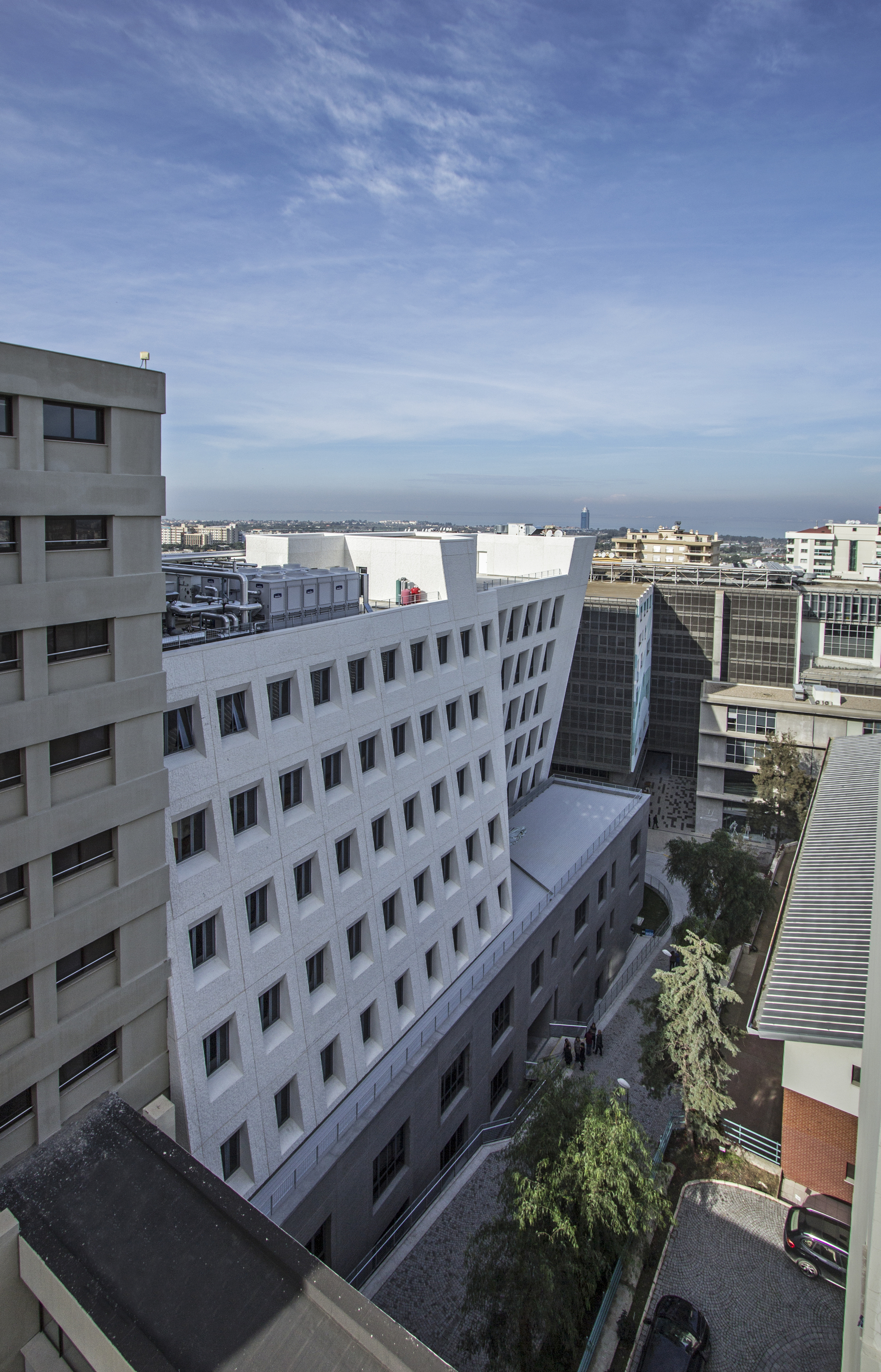 SCHOOL OF FOREIGN LANGUAGES visual data 2