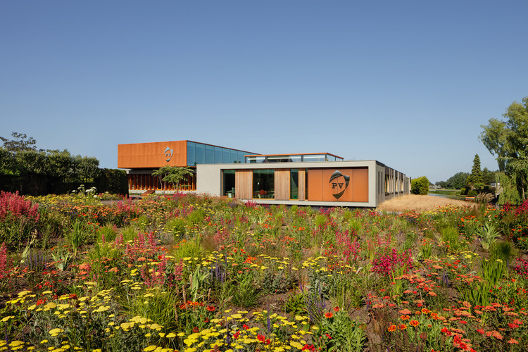 Pop Vriend Seeds / Mark Fuller Architects - Windows