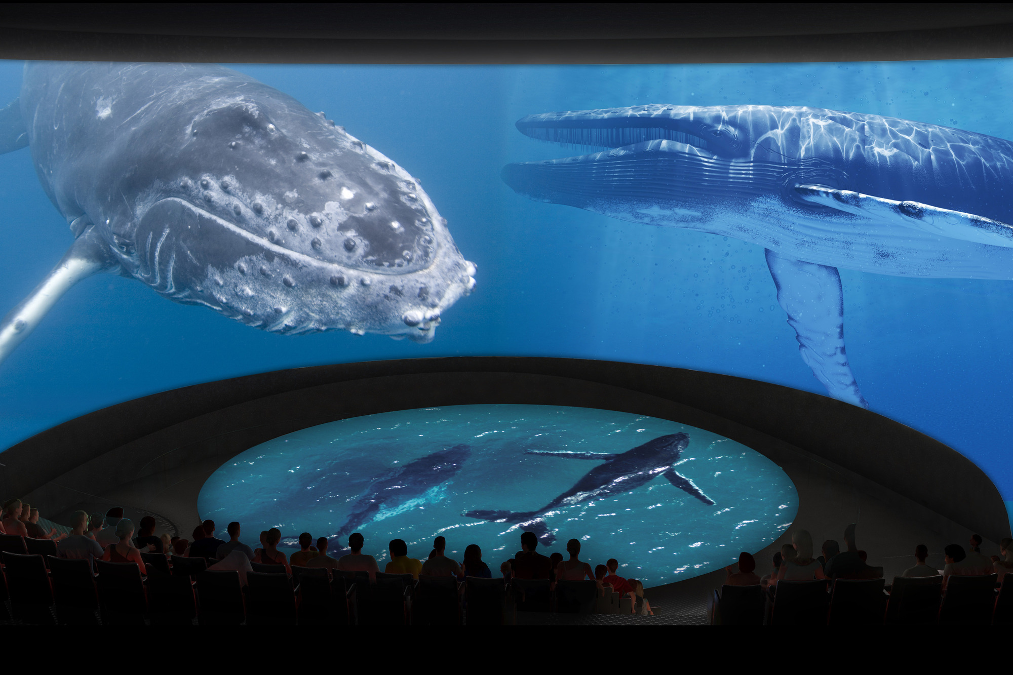 Gallery of Aquarium of the Pacific Reveals New Design for Major ... - 5 HonDa Pacific Visions Theater Whales CourtesyofAquariumofthePacific