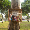 Arbolibros: Cultivando la lectura en los espacios públicos - Image 3 of 4