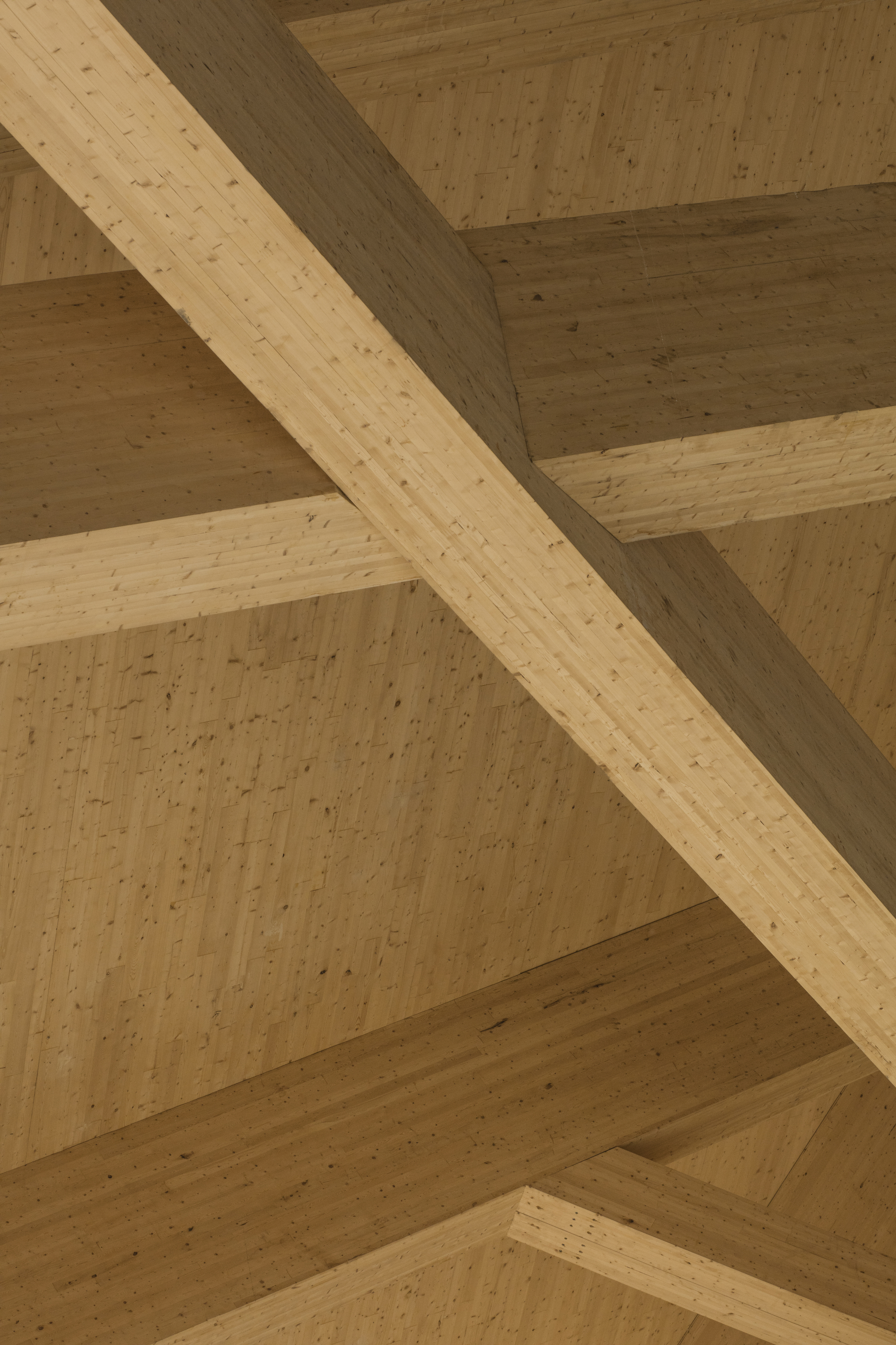 Gallery of Stade De Soccer de Montréal / Saucier + Perrotte architectes