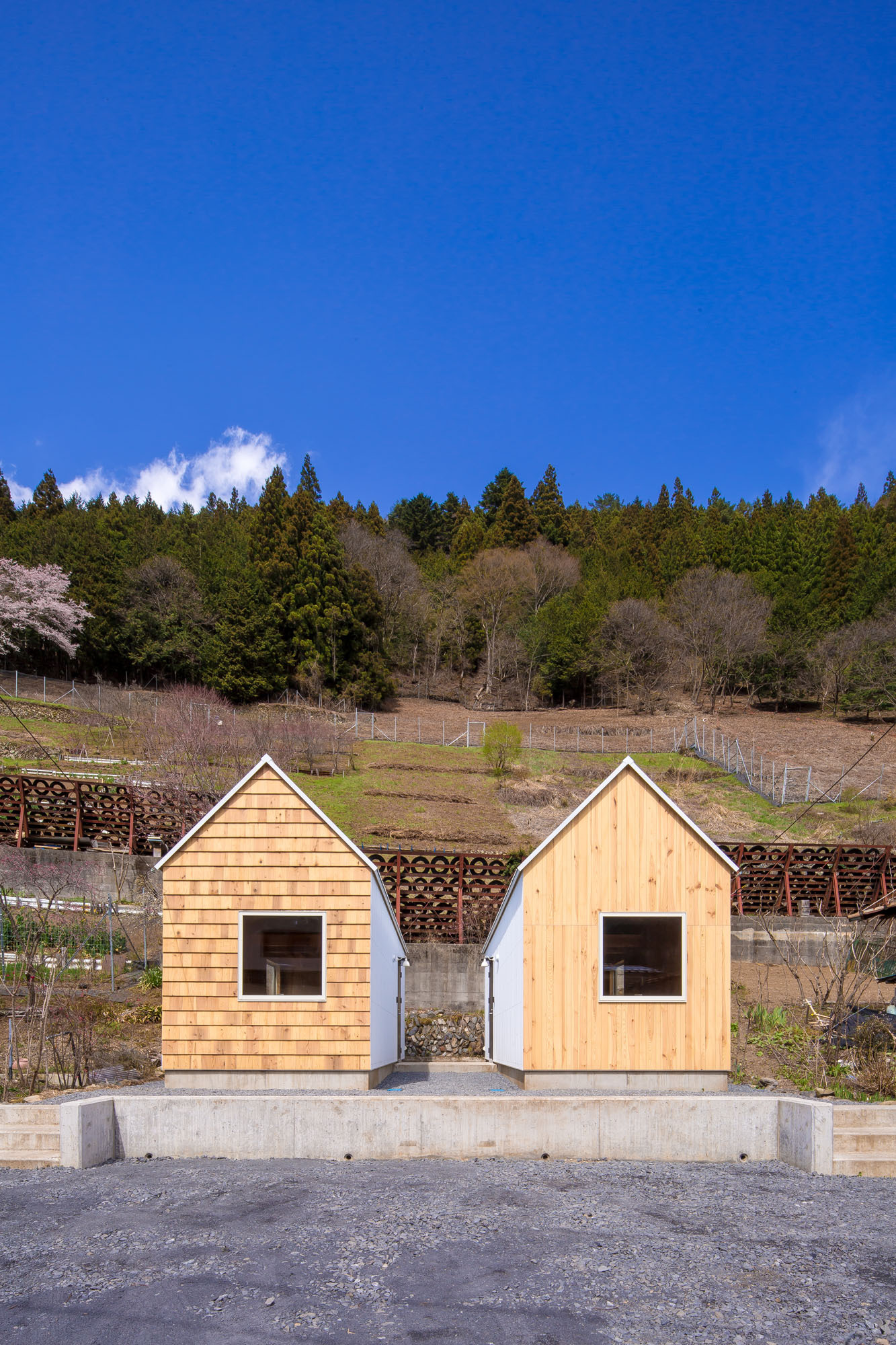 Gallery of Cedar House, Pine House / S PLUS ONE architecture 6