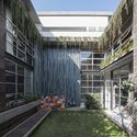 Collage House / S+PS Architects - Facade, Garden, Courtyard