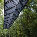 Francis A. Gregory Library / Adjaye Associates - Forest