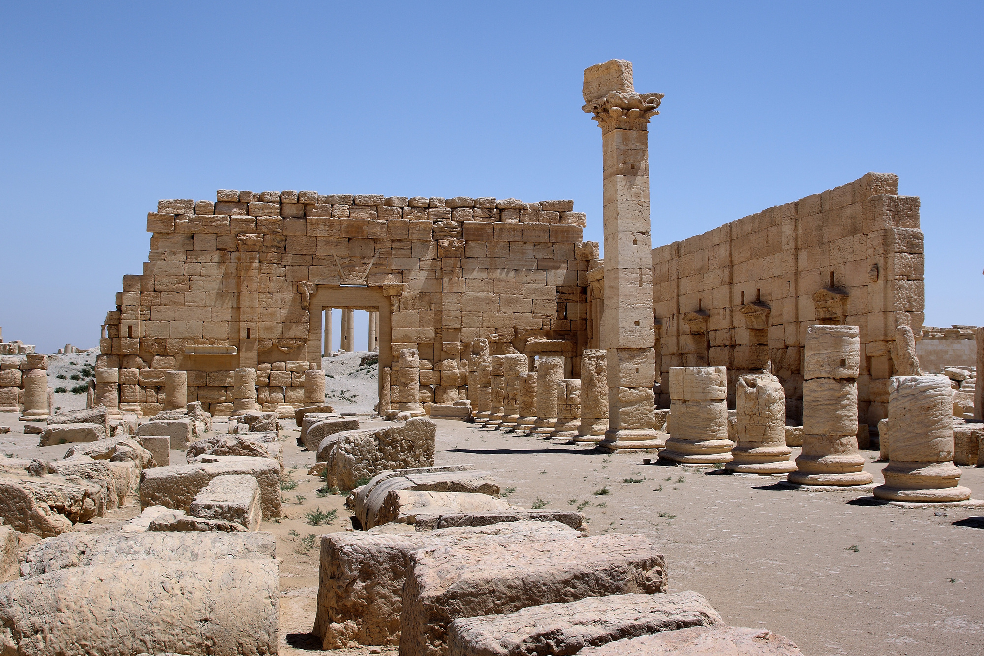 Gallery of Saving Palmyra: A Discussion with Yale's Cultural Heritage ...