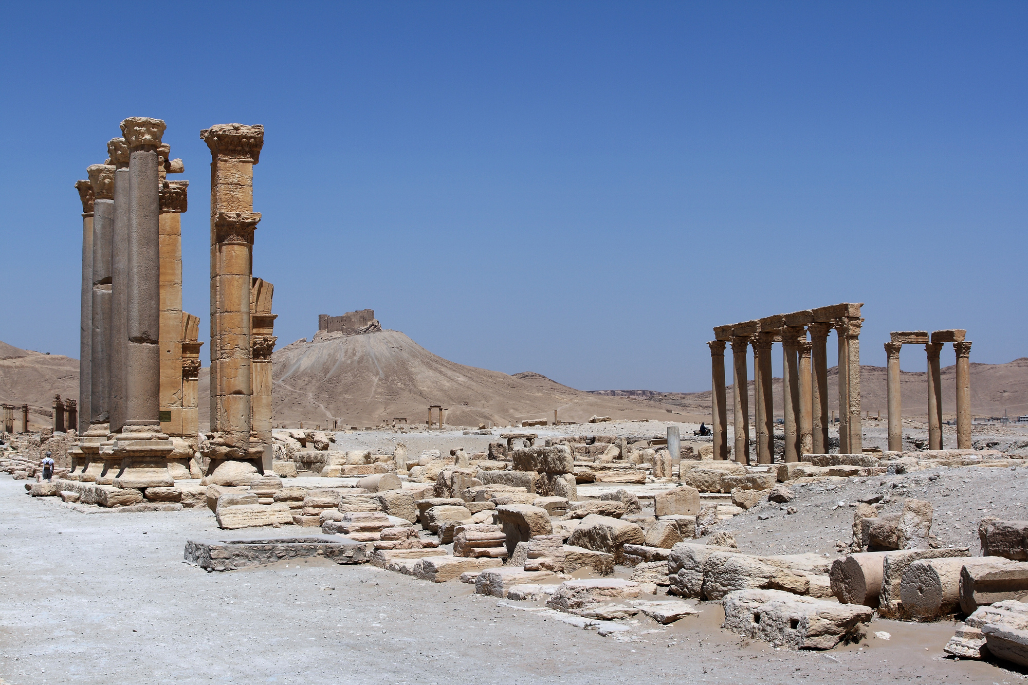 Gallery of Saving Palmyra: A Discussion with Yale's Cultural Heritage ...