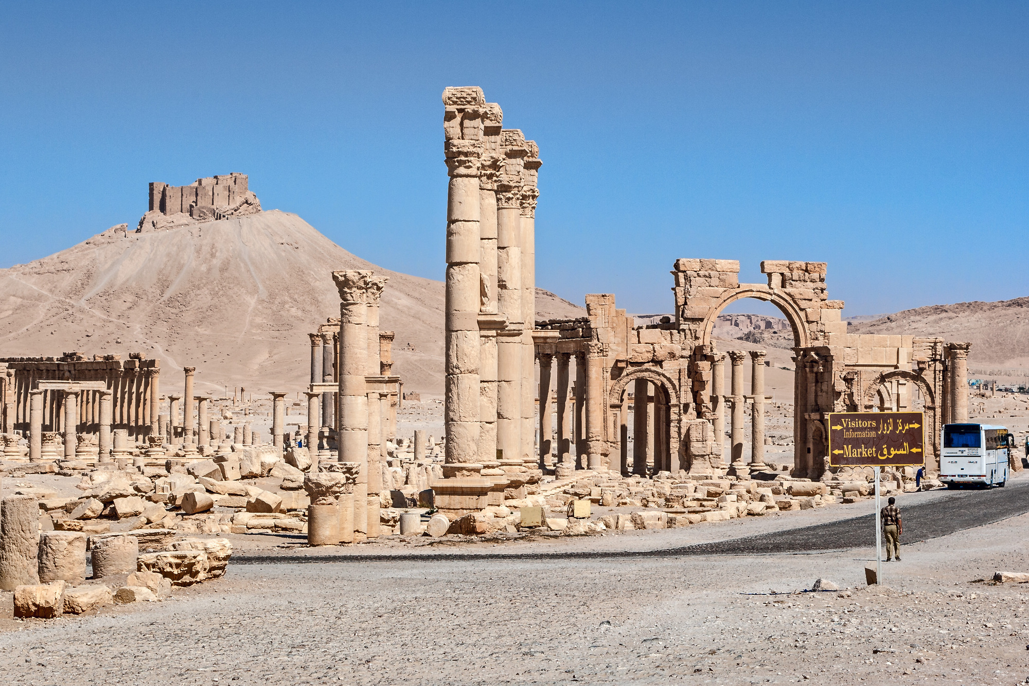 Gallery of Saving Palmyra: A Discussion with Yale's Cultural Heritage ...