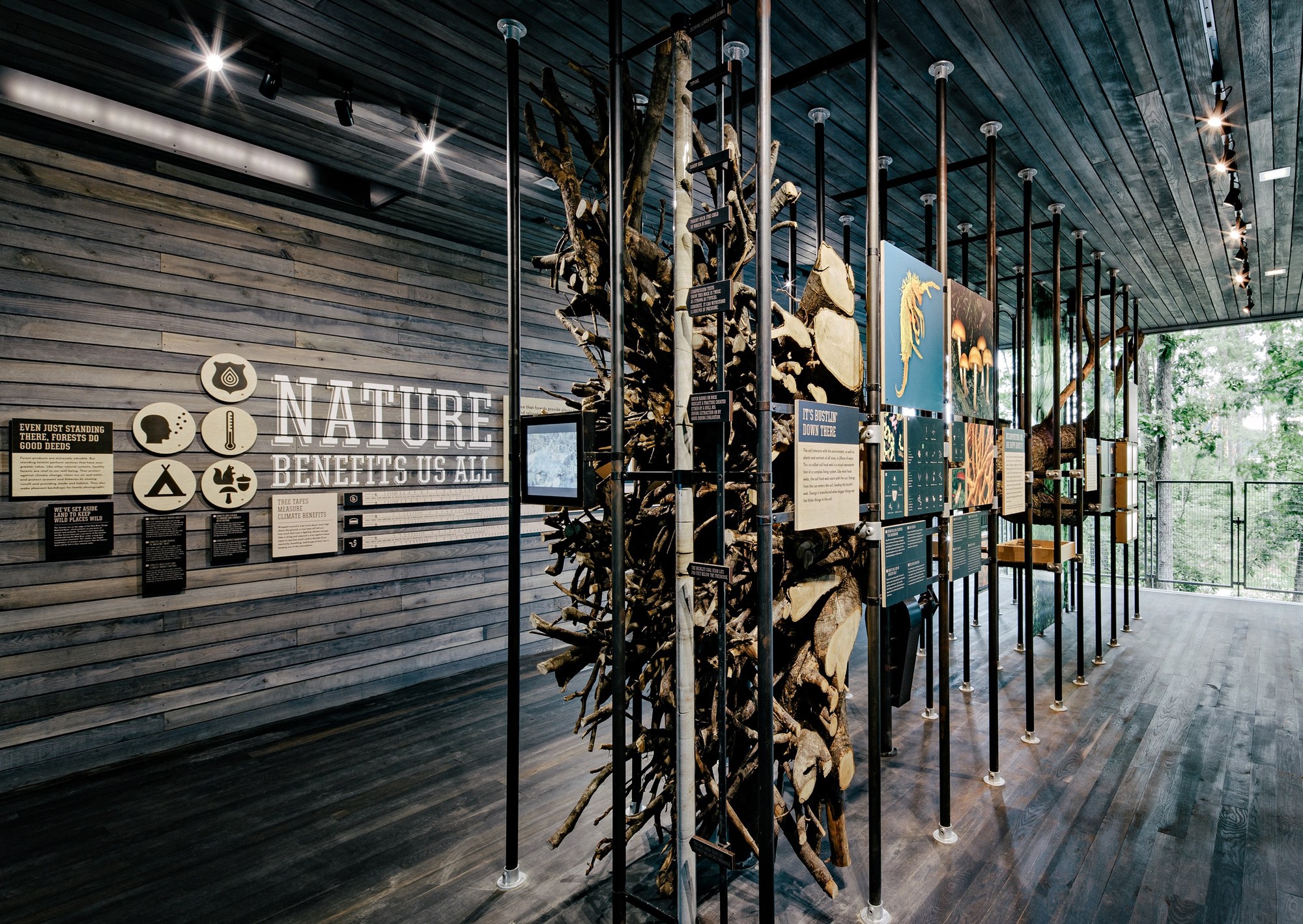 Gallery of The Sustainability Treehouse / Mithun 12