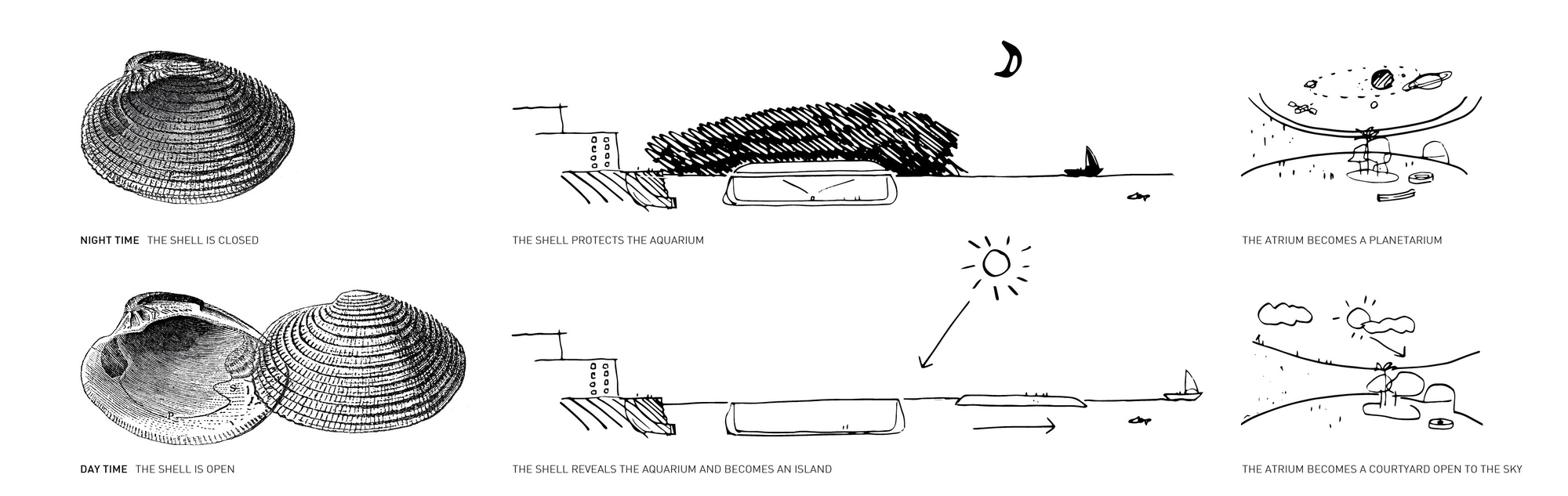 Gallery of Arch Out Loud Announces Winners of New York City Aquarium ...