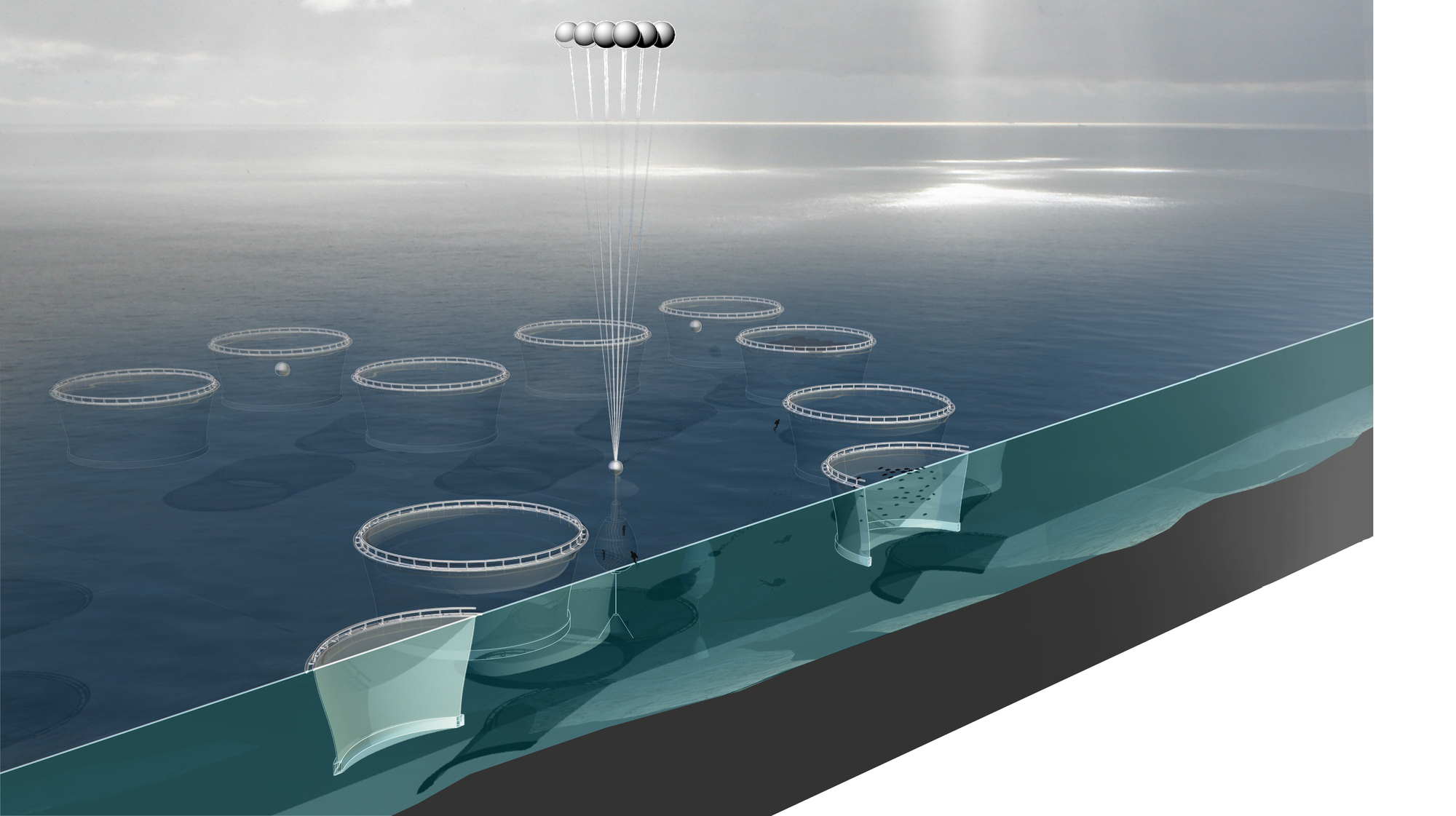 Gallery of Arch Out Loud Announces Winners of New York City Aquarium