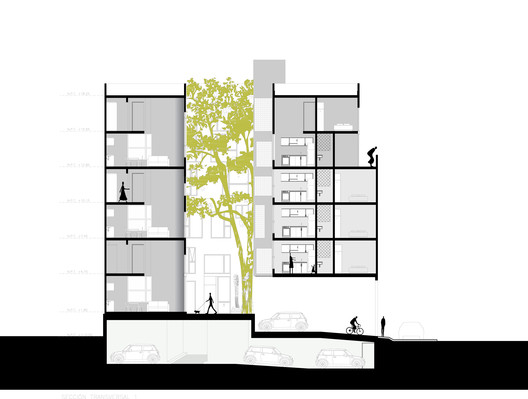 Cacamatzin 34 / tallerdea - Image 16 of 21