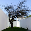 葡萄牙 Oeiras 住宅 / Pedro Domingos arquitectos - 独立住宅