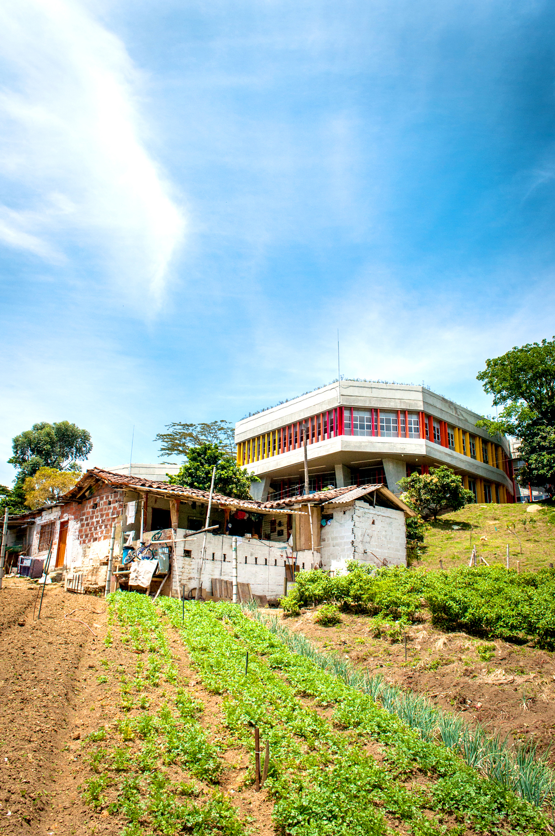 archdaily