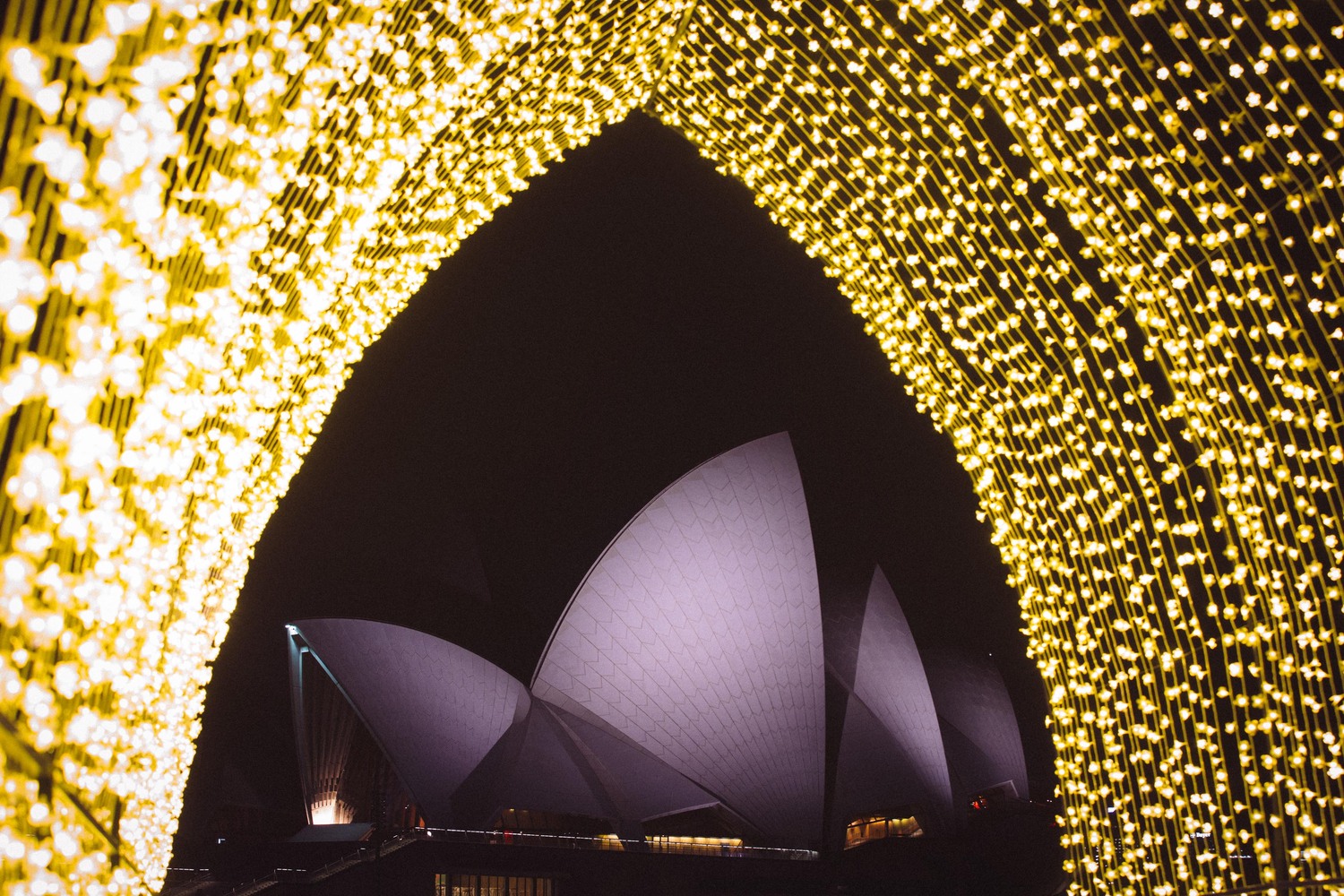 Gallery Of Sydney Makes A Light Show The City S Harbour And Sydney Makes A Light Show Of The City S Harbour And Beyond Cathedral