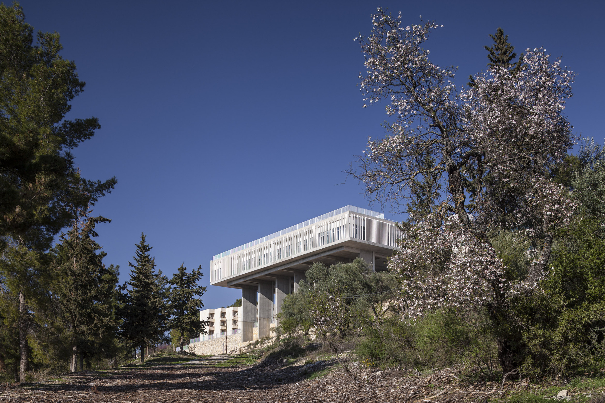 Gallery of The Sieff Hospital / Weinstein Vaadia Architects 11