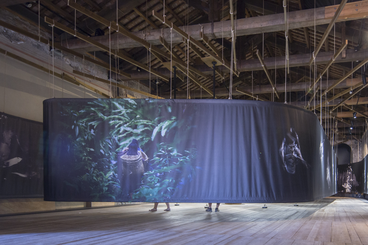 Gallery of Our Amazon Frontline Inside Perú's Pavilion at the 2016
