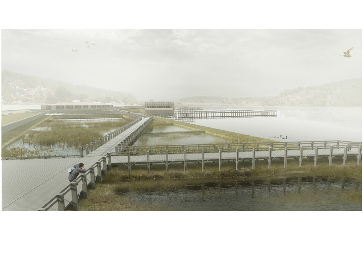 Galería De Estos Son Los Ganadores Del Concurso Nacional De Proyectos Galería De Estos Son Los Ganadores Del Concurso Nacional De Proyectos