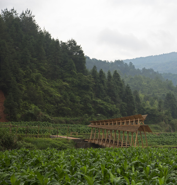 Wind and Rain Bridge / Donn Holohan - The University of Hong Kong - Forest, Garden